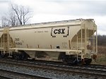 CSX 243342